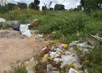 Foto: Reprodução / Blog do Anderson