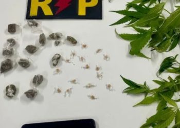 Foto: 7segundos/PMAL.