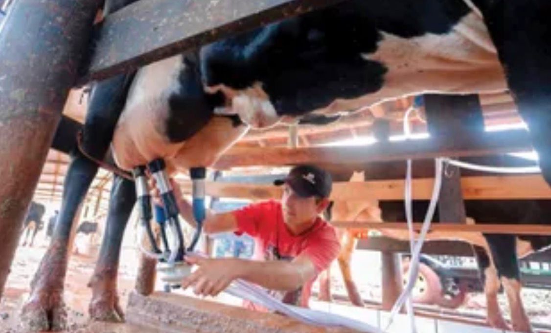Foto: Gazeta Alagoas.