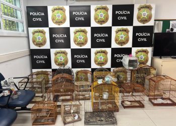 Foto: Policia Civil de Alagoas.